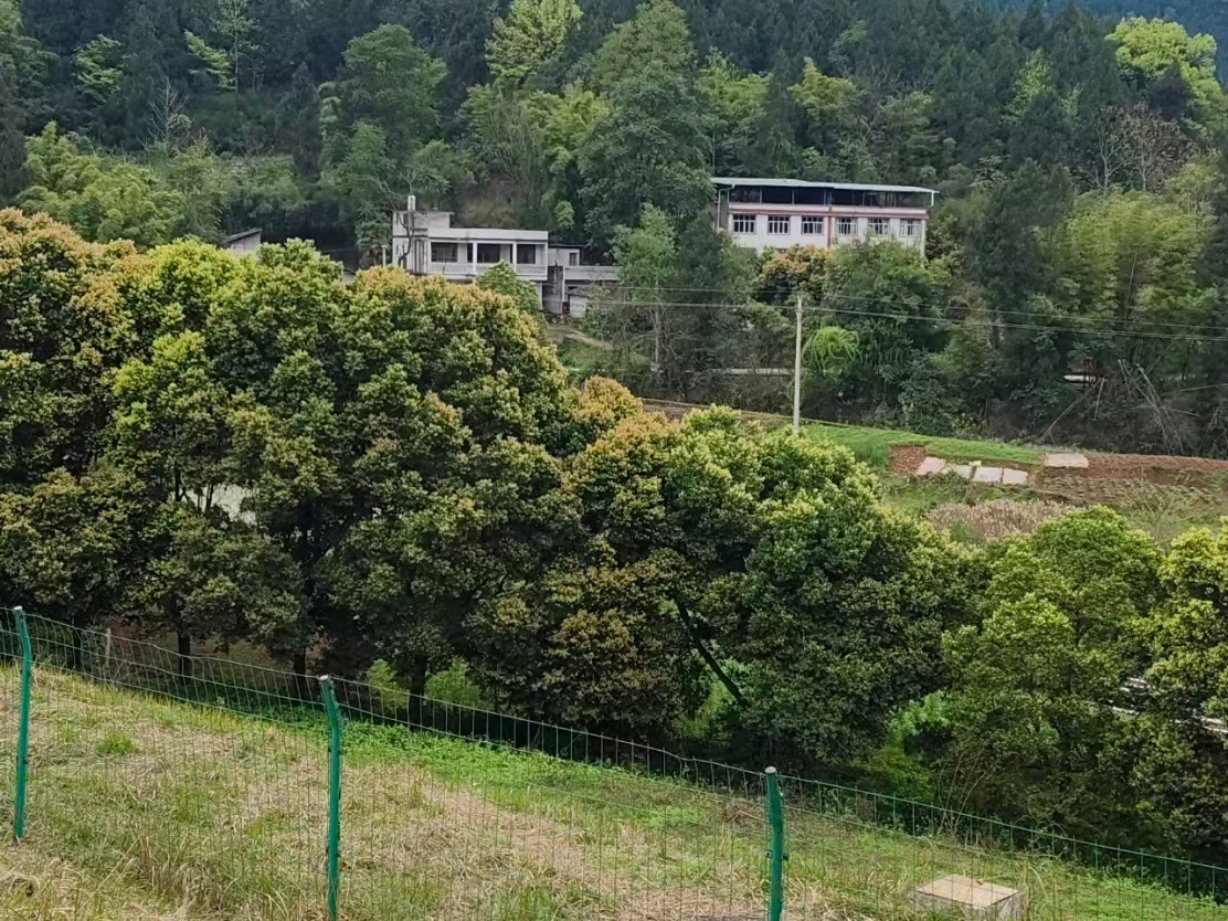 微信图片_20260325181311_887_90.jpg